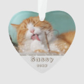 Festif Chat Pet Keepsaké photo Noël (dos)