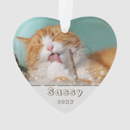 Festif Chat Pet Keepsaké photo Noël (dos)