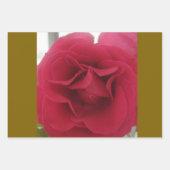 Festif et coloré, Feuilles de papier enveloppant (Devant 2)