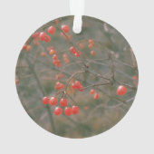 Festif Rouge Flambant Berries Nature Photo (dos)