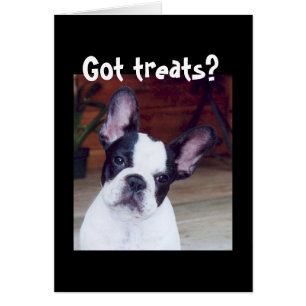 'Festins obtenus ? '