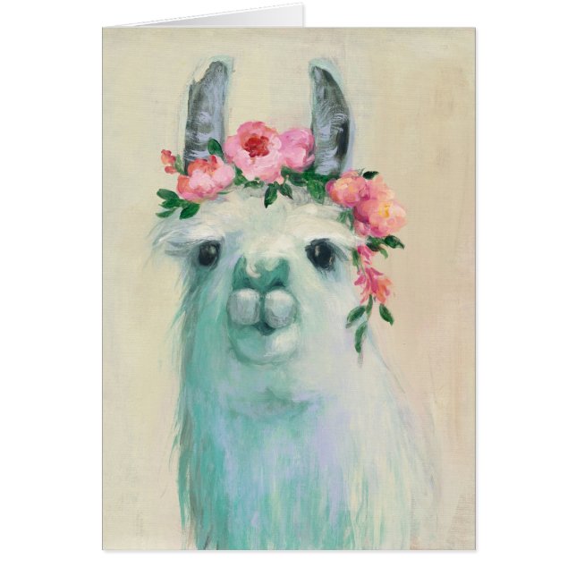 Festival Llama (Voorkant)