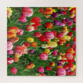 Festival Tulip Jigsaw Puzzle (Horizontal)