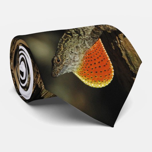 Festive Anole stropdas (Opgerold)