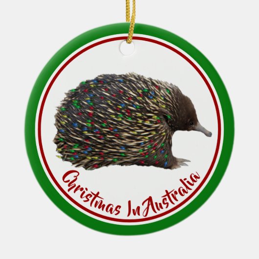 Festive Australia Echidna draagt kerstverlichting Keramisch Ornament (Voorkant)