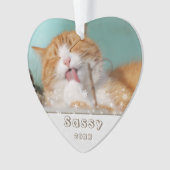 Festive Cat Pet Keepomwille Foto met kerstfeestdag Ornament (voorkant)