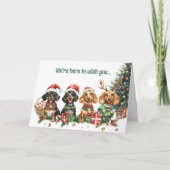 Festive Chiens de Dachshund Carte de Noël (Devant)