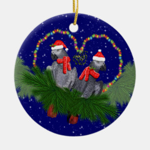 Festive Featherballen Ornament
