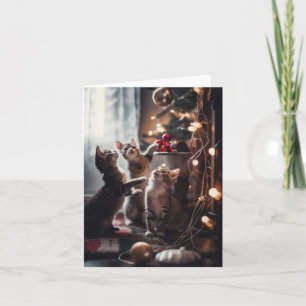 Festive Kitty