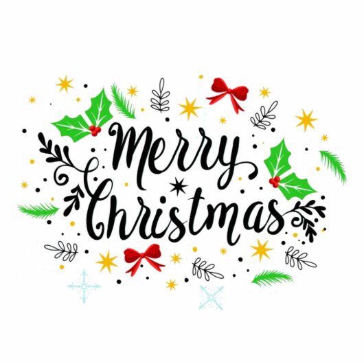 Festive Merry Kerstkins Fotobeeldje Ornament (Voorkant)