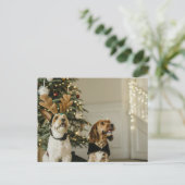 Festive Noël Chiens de vacances Cheer Carte postal (Debout devant)