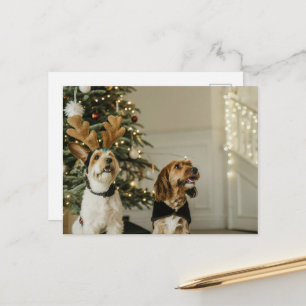 Festive Noël Chiens de vacances Cheer Carte postal