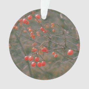 Festive Red Sparking Berries Natuur Foto Ornament