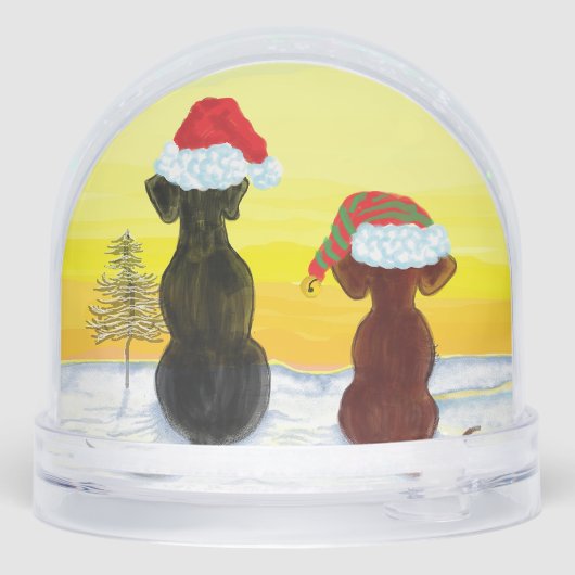 Festive springador (Arrière)