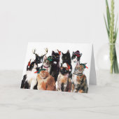Festive Waterverf Cats Clowder Prettige feestdagen (Voorkant)