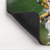 Festoiement du tapis de souris d'araignée de (Coin)