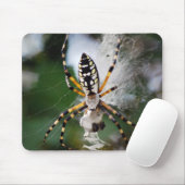 Festoiement du tapis de souris d'araignée de (Avec souris)