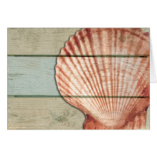 Feston Shell
