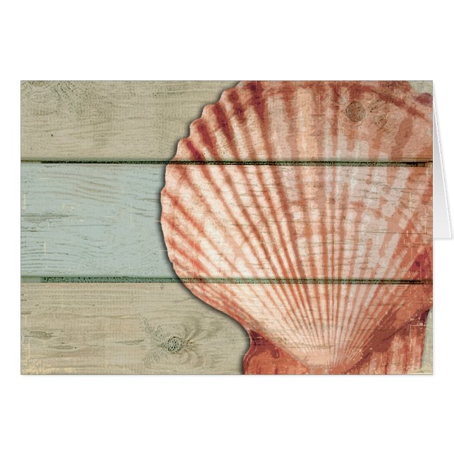 Feston Shell (Devant horizontal)