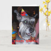 Fêtard, carte d'anniversaire (Fleur jaune)