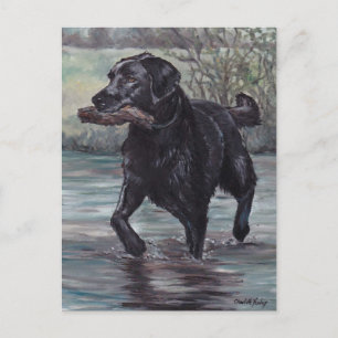 Fetch Black Labrador Retriever Dog Art Briefkaart