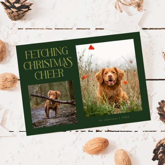 Fetching Christmas Cheer Green Dog Photo Feestdagenkaart