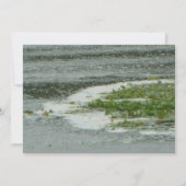 Fête Annuelle Sur Le Lac Invitation (Dos)