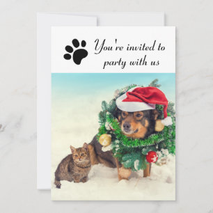 Fête avec nous chien et chat - Invitation à la fêt