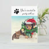 Fête avec nous chien et chat - Invitation à la fêt (Debout devant)