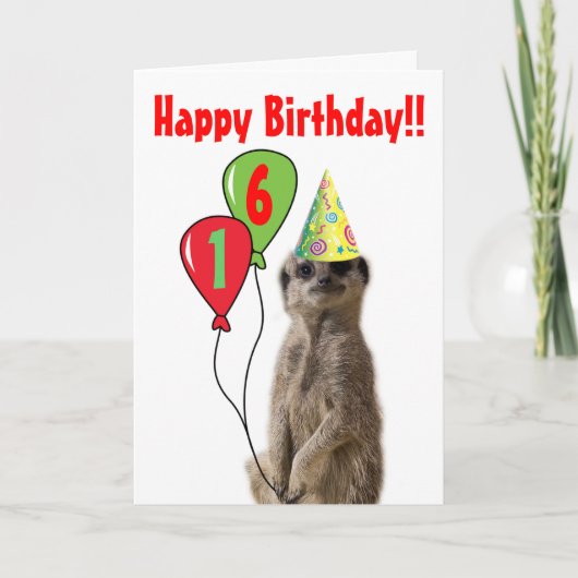 Fête comme une carte d'anniversaire Meerkat (Devant)