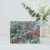 FÊTE DE COULEUR CALIFORNIENNE : CARTE POSTALE JANV (Debout devant)