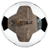 "Fête de la nature : un casse-croûte de Wallaby" (Tourné)