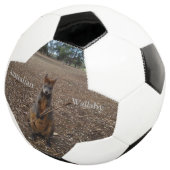 "Fête de la nature : un casse-croûte de Wallaby" (3/4)