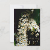 Fête de la vie florale 3 Invitation (Devant)