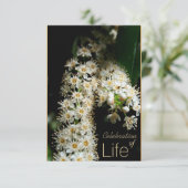 Fête de la vie florale 3 Invitation (Debout devant)