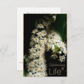 Fête de la vie florale 3 Invitation (Devant / Derrière)