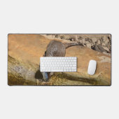 **"Fête de Pondside : Un Otter et son Catch"** (Clavier et souris)