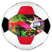 fête de sirène (Tourné)