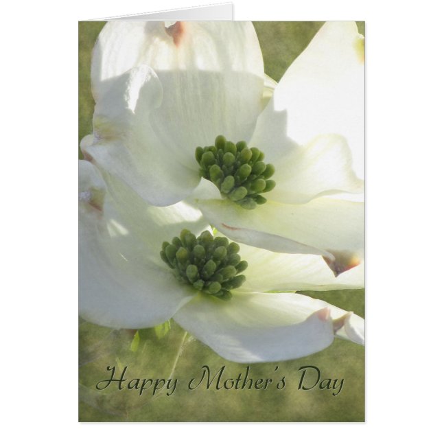 Fête des mères Dogwood (Devant)