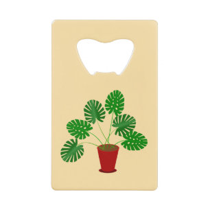 Fête des mères Monstera Plante