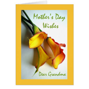 Fête des mères pour grand-mère, Calla Lilies