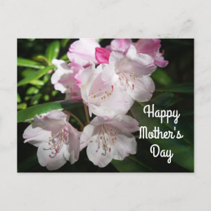 Fête des mères Sakura Cherry Blossom #2 Carte post