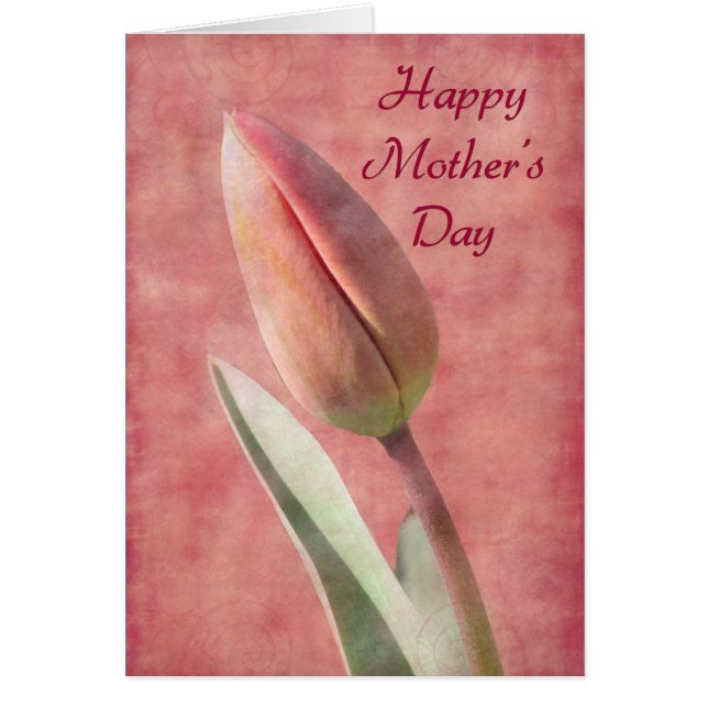 Fête des Mères Tulip (Devant)