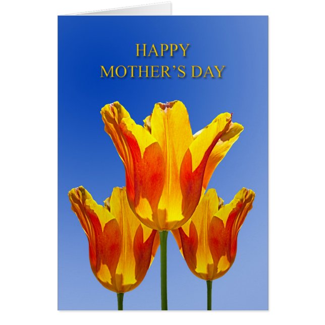Fête des mères, tulipes pleines de soleil (Devant)