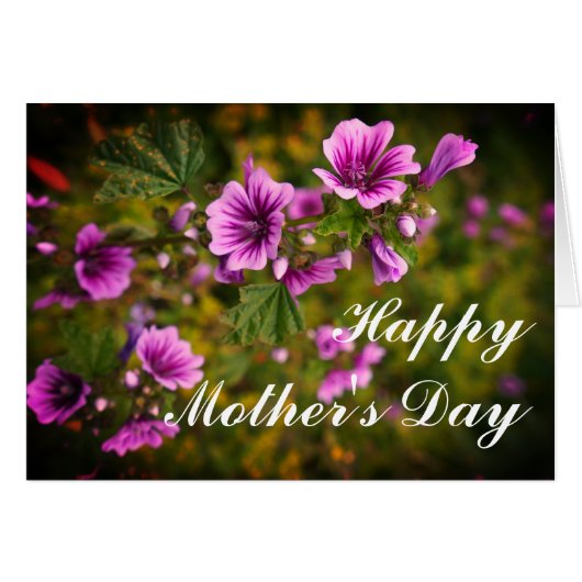 Fête des mères Zebra Hollyhock Fleurs #2 Carte (Devant horizontal)
