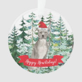 Fête du chien de la terrier américain Staffordshir (devant)