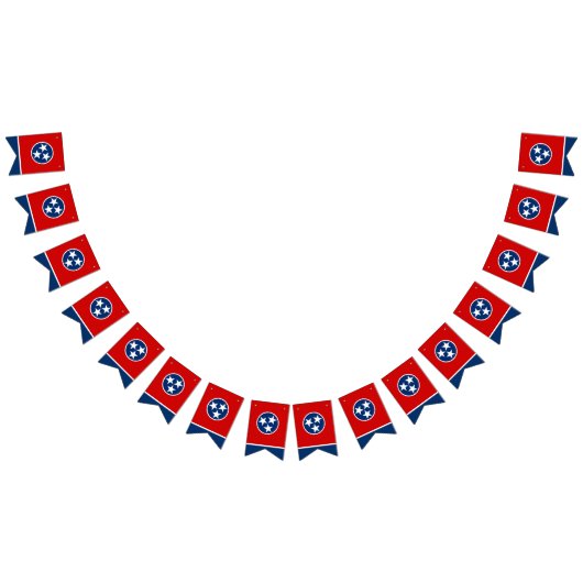 Fête du drapeau du Tennessee, bannières de bottes  (Tout)
