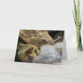 Fête du serpent de Montpellier sur carte de lapin (Devant)