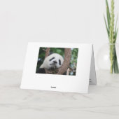 Fête nationale du Panda 16 mars Carte des fêtes an (Dos)