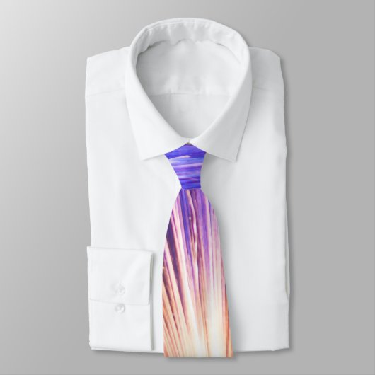 Fêter le Cravate 2017 (Attaché)